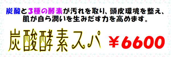 炭酸酵素スパ単品.png