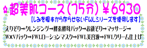 超美肌コース.png